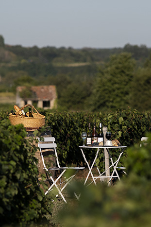 Les vins de Reuilly et de Valençay : 2 terroirs d'exception